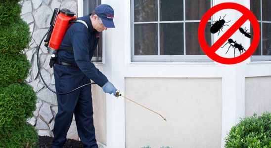 Eynesil Hamam Böceği İlaçlama böcek ilaçlama ve haşere kontrolü — ilaclama-tr.com